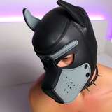 maynthepuppy