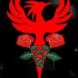 sexmetalphoenix_softcore