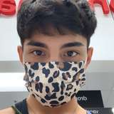 fruitipai